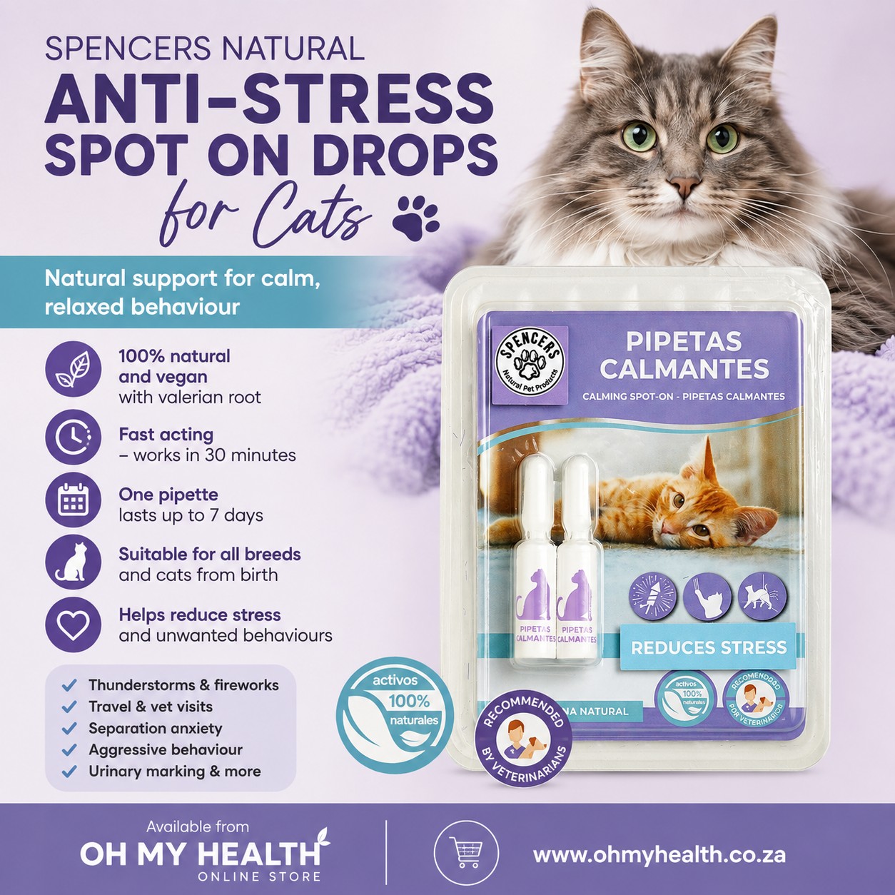 Spencers Anti-Stress Cats – Natural Spot On Drops - Image 2