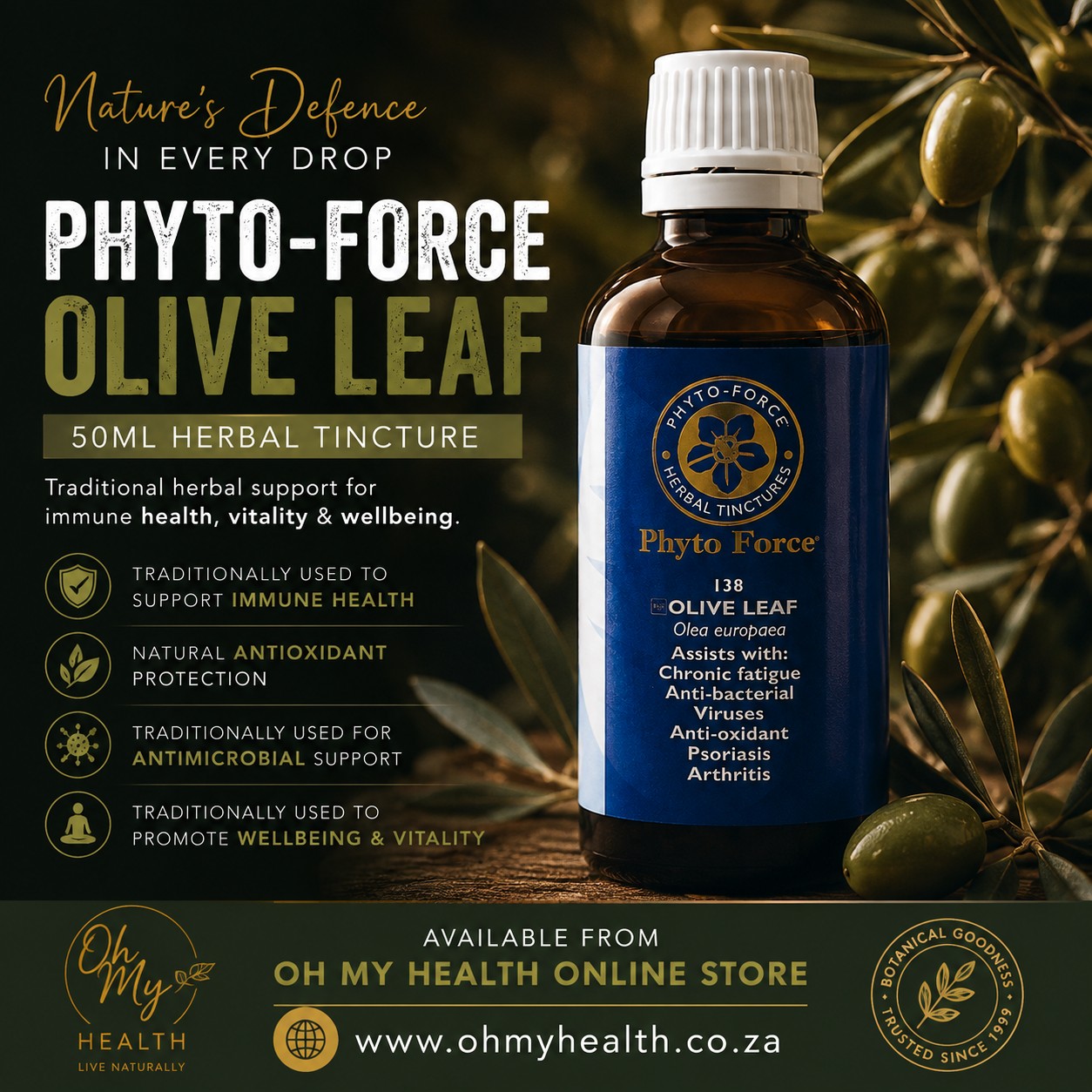 Phyto-Force Olive Leaf 50ml - Image 2